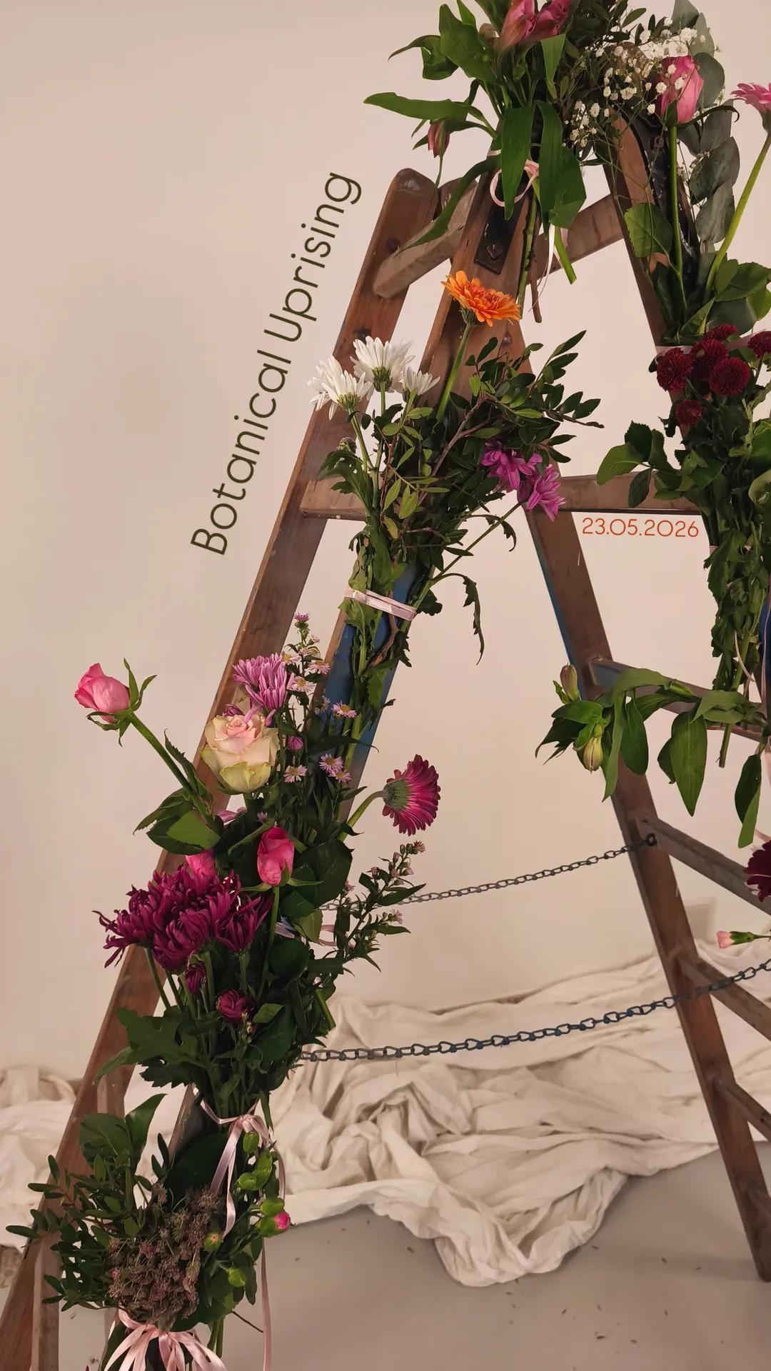 Botanical Uprising Blumenarrangement auf einer Holzleiter, umgeben von Stoff.